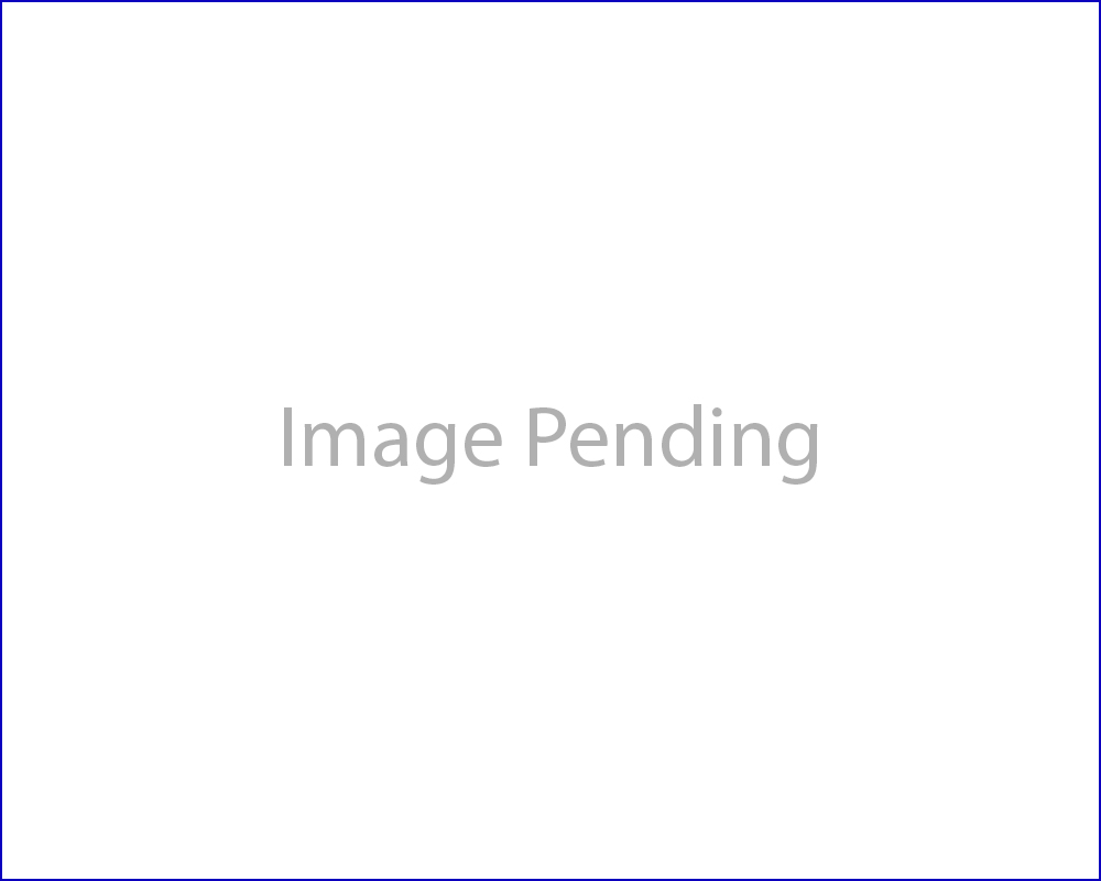 33” x 20” x 10” DOUBLE BOWL (60/40 BOWL) APRON STYLE REVERSIBLE FARM HOUSE SINK WITH LEDGE 